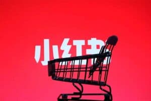 小红书电商从0到1实操运营课,从零开始,简单易学